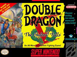 Double Dragon 5: The Shadow Falls